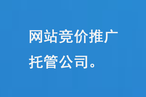 網(wǎng)站競價(jià)推廣托管公司